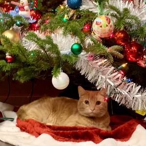 Meet your Posher, Angie